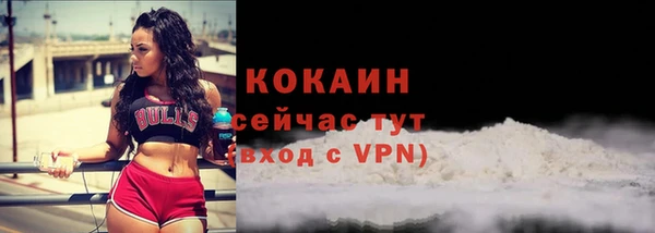 мдпв Елизово