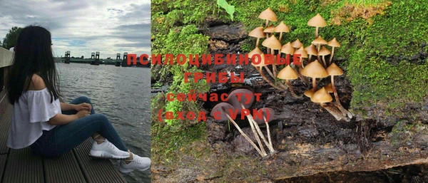 MESCALINE Дмитровск