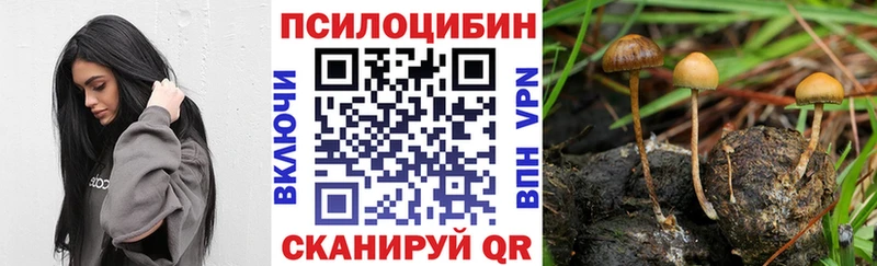 Галлюциногенные грибы мухоморы Снежинск