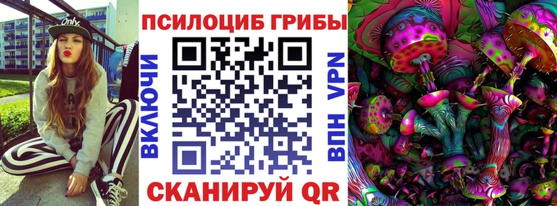 Псилоцибиновые грибы GOLDEN TEACHER  Купить закладки  Снежинск 